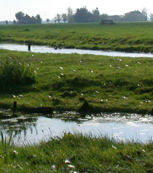 Stedenbouwkundig plan Kromme Kamp