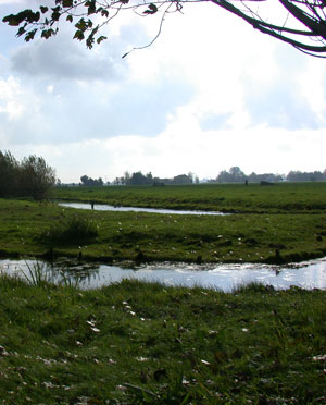 Stedenbouwkundig plan Kromme Kamp