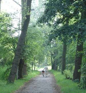 Visie landgoed Schakenbosch