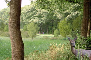 Natuurbegraafplaats Natuurmonumenten