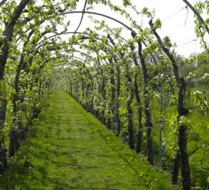 De Havens Nooitgedacht