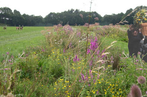 Natuurbegraafplaatsen