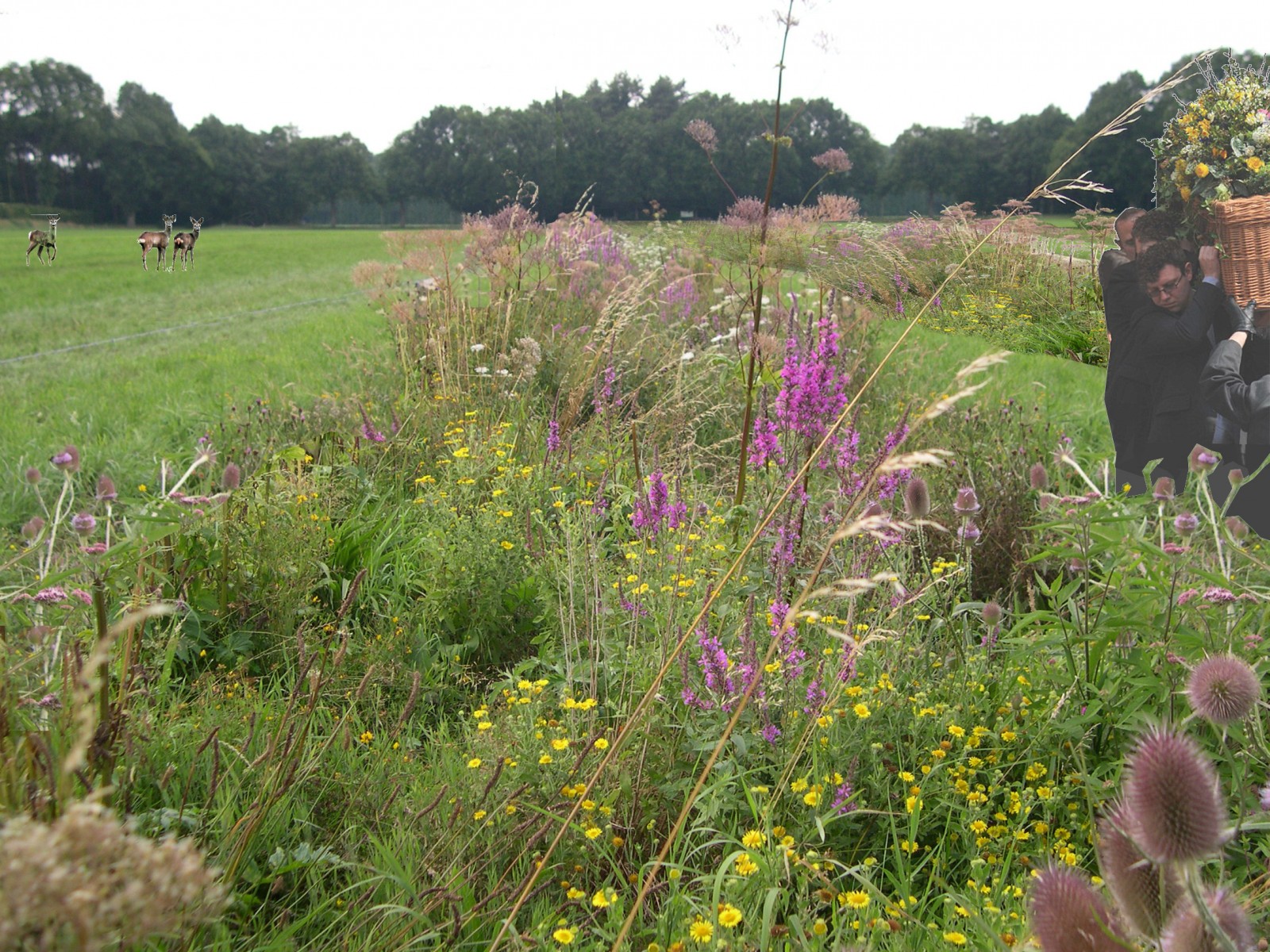 Natuurbegraafplaats Natuurmonumenten