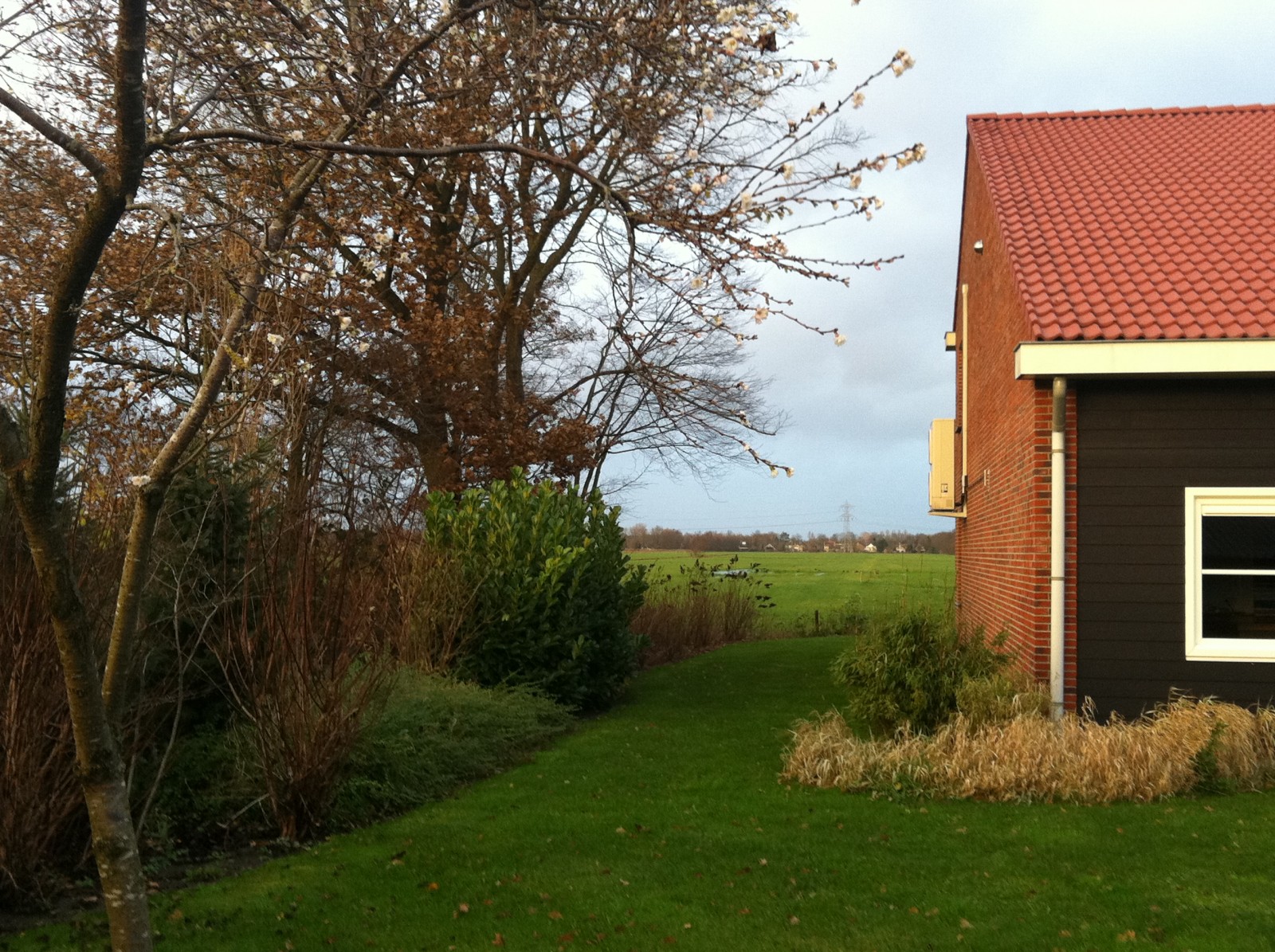 Buitengebied in beweging - Groene Kan