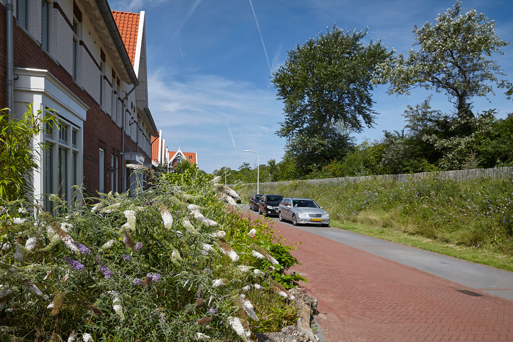 Woningclusters Nieuw Koningsduin