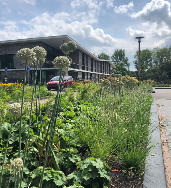 Stapsgewijs thuis - Nieuwe Beekdal