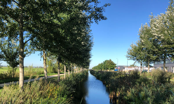 Stedenbouwkundig plan bedrijventerrein Haarbrug-Zuid