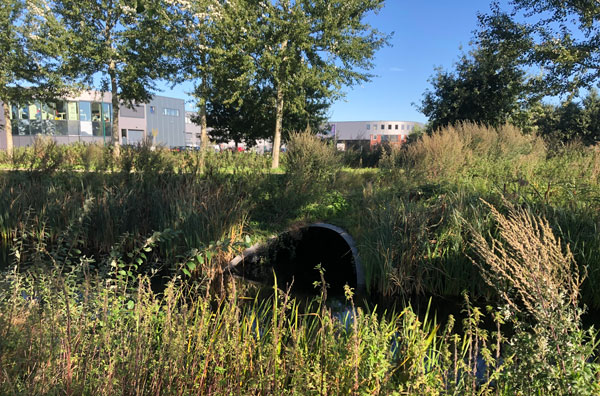 Stedenbouwkundig plan bedrijventerrein Haarbrug-Zuid