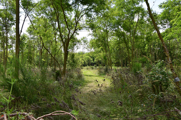 Natuurbegraafplaats Fryslân