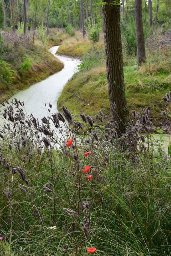 Natuurbegraafplaats Fryslân