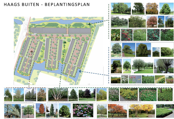 Natuurinclusief Bouwen - Haags Buiten