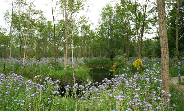 Natuurbegraafplaats Bremer Wildernis