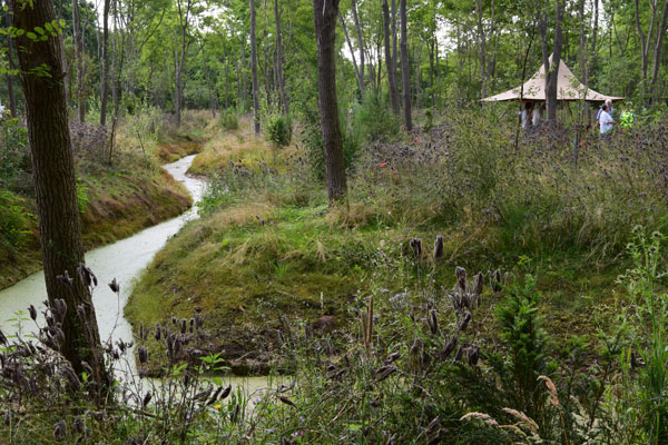 Natuurbegraven - natuurbegraafplaats Fryslan