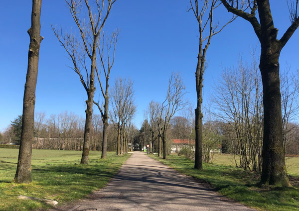 Ruimtelijke visie Valkenheide