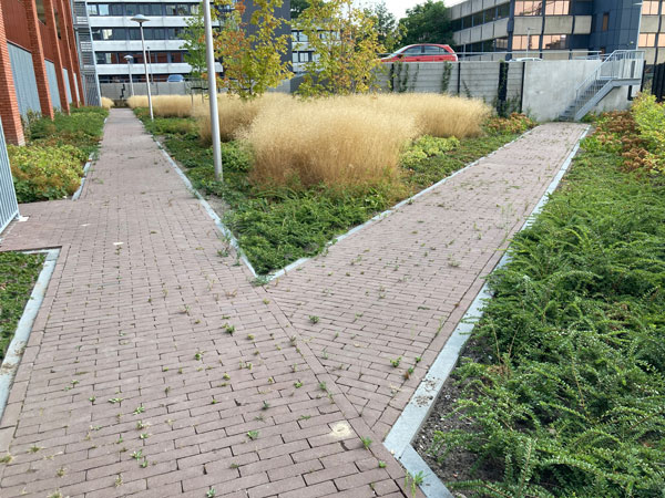 Beplantingsplan Wilhelminawerf, Utrecht