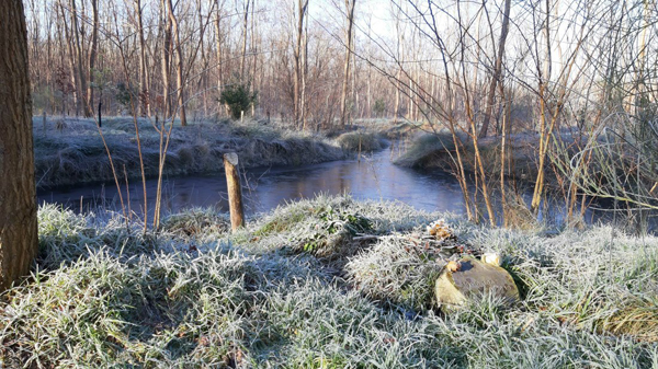 Natuurbegraafplaats Bremer Wildernis