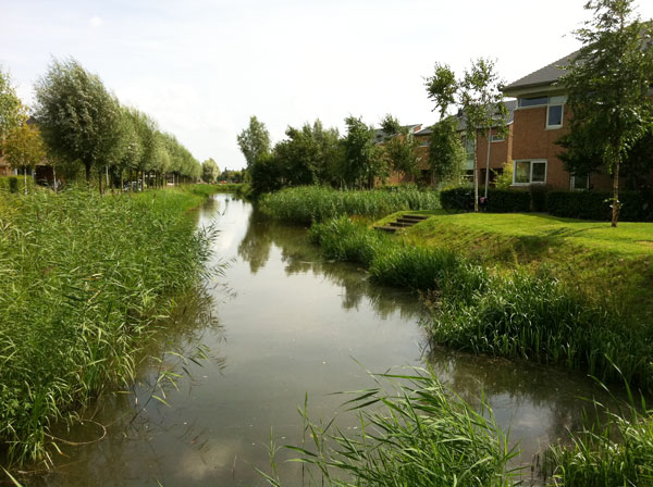 Ontwerpen vanuit de bodem - Vleuterweide