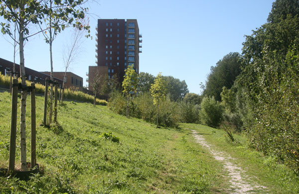 Natuurinclusief Bouwen - Haags Buiten