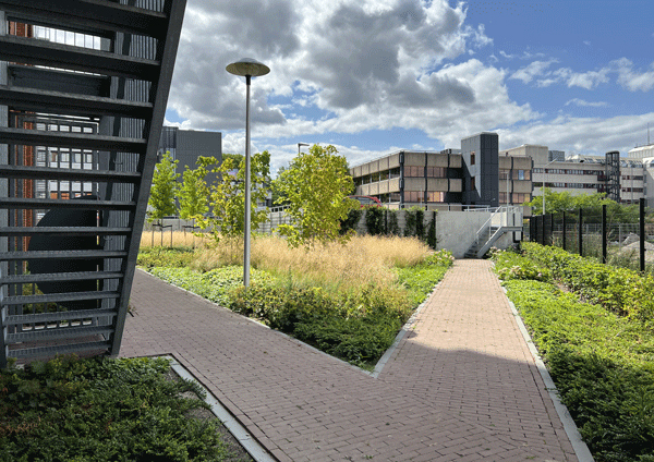 Wilhelminawerf Utrecht