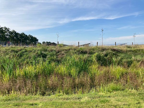 Zonnepark De Ekers, inpassingsplan