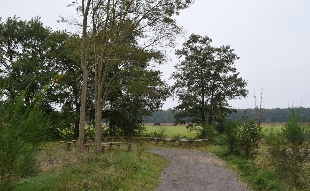 Natuurbegraven - natuurbegraafplaats Fryslan