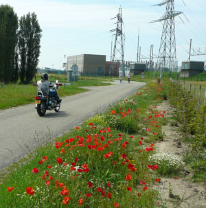 Inrichtingsplan Geervliet