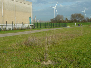 Monitoring Geervliet