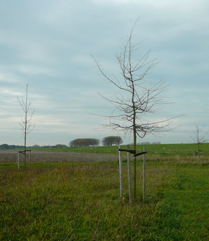 Monitoring Geervliet