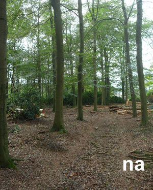 Dunning versus Masterplan