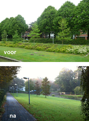 Besparingsadvies onderhoudskosten