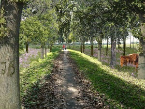 Landschap als Nalatenschap