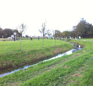 Groen- en waterplan Groene IJmond