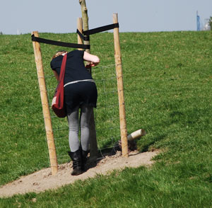 Monitoring Geervliet