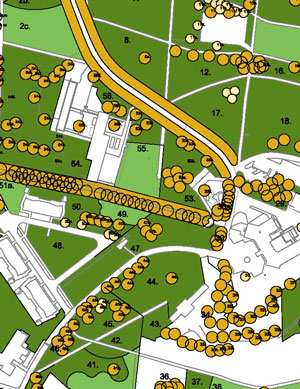 Groenbeheerplan Karakter