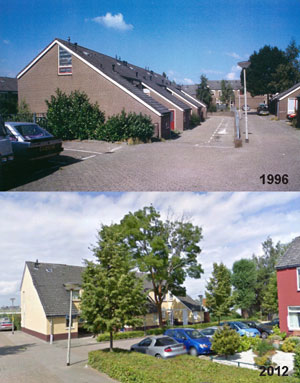 Bloemkoolwijk Revisited