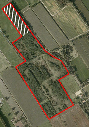 BP Natuurbegraafplaats Fryslân