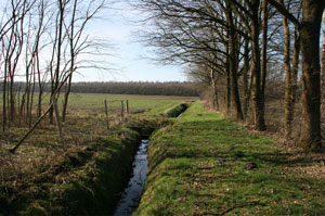 BP Natuurbegraafplaats Drenthe