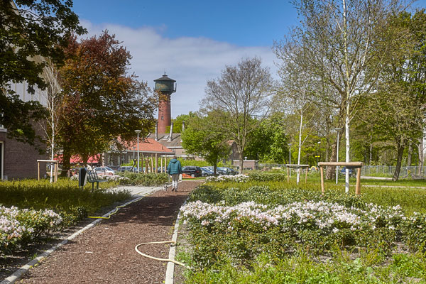 Visie en plan Duin en Bosch