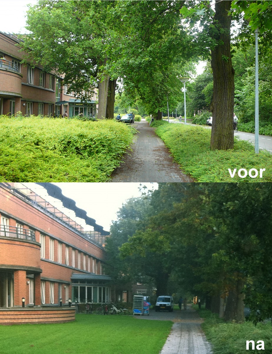 Besparingsadvies onderhoudskosten