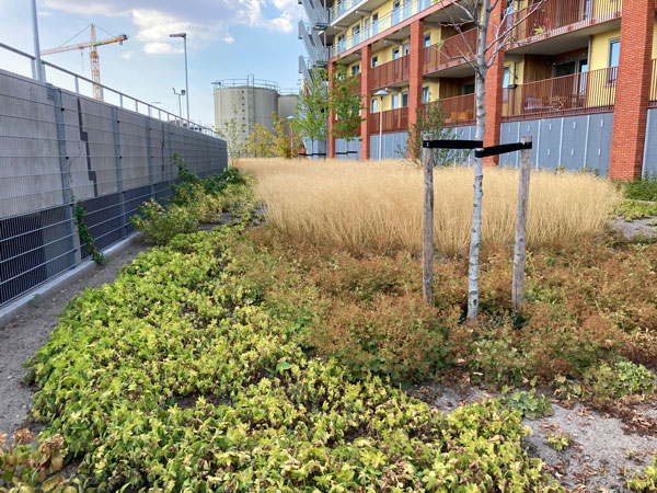 Beplantingsplan Wilhelminawerf, Utrecht